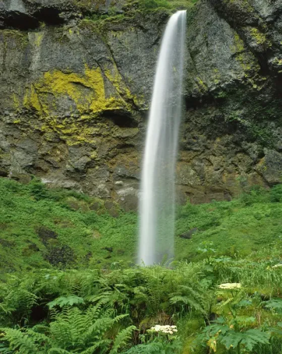 Framed Print : USA, Oregon, Columbia River Gorge National Scenic Area. Elowah Falls scenic. Credit as Framed Print : USA, Oregon, Columbia River Gorge National Scenic Area. Elowah Falls scenic. Credit as