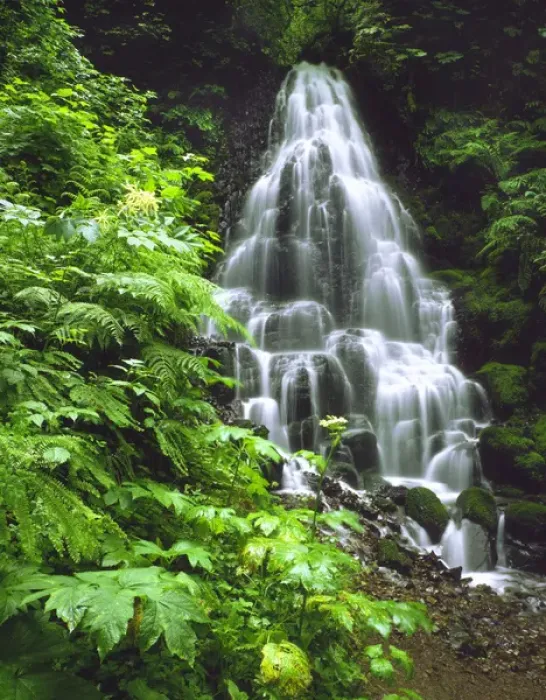 Framed Print : USA, Oregon, Columbia River Gorge National Scenic Area, Fairy Falls tumbling down basalt rocks