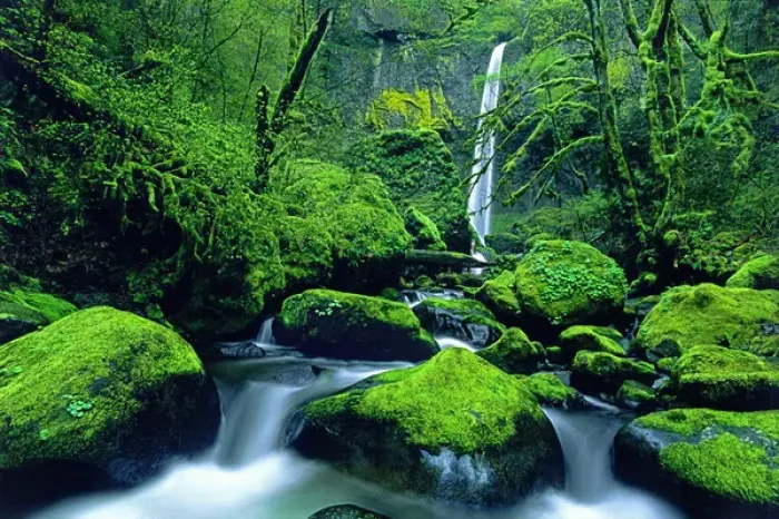 Framed Print : USA, Oregon, Columbia River Gorge National Scenic Area Framed Print : USA, Oregon, Columbia River Gorge National Scenic Area