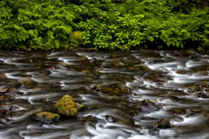 Framed Print : USA, Oregon, Columbia River Gorge National Scenic Area. Eagle Creek flows past verdant vegetation Framed Print : USA, Oregon, Columbia River Gorge National Scenic Area. Eagle Creek flows past verdant vegetation
