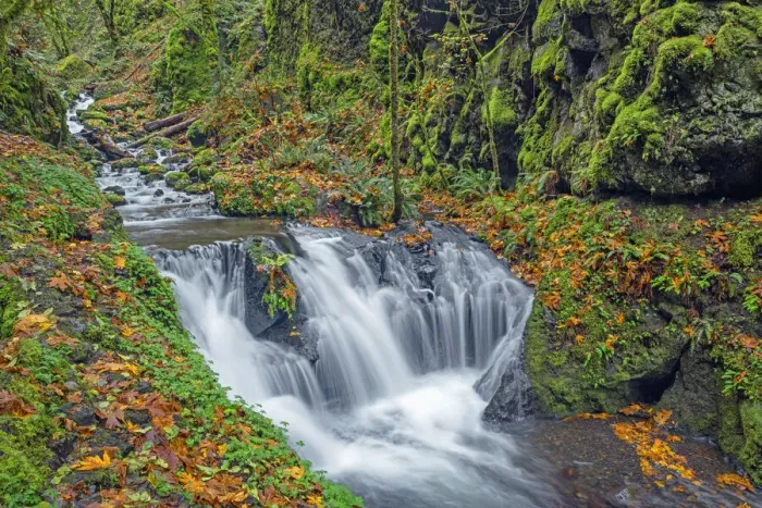Framed Print : USA, Oregon. Columbia River Gorge National Scenic Area, Emerald Falls on Gorton Creek in Framed Print : USA, Oregon. Columbia River Gorge National Scenic Area, Emerald Falls on Gorton Creek in