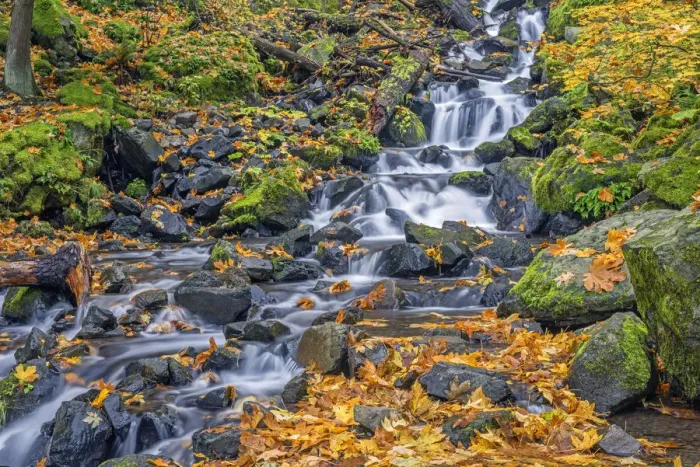 Framed Print : USA, Oregon. Columbia River Gorge National Scenic Area, Starvation Creek State Park Framed Print : USA, Oregon. Columbia River Gorge National Scenic Area, Starvation Creek State Park
