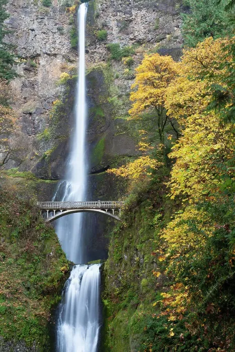 Framed Print : USA, Oregon, Columbia River Gorge National Scenic Area. Multnomah Falls in Fall colors Framed Print : USA, Oregon, Columbia River Gorge National Scenic Area. Multnomah Falls in Fall colors