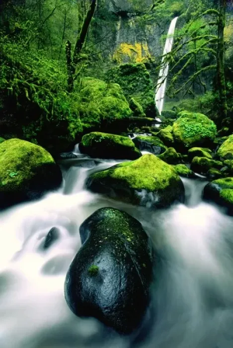 Framed Print : USA, Oregon, Columbia River Gorge National Scenic Area. View of Elowah Falls