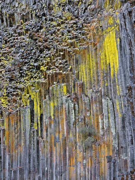 USA, Oregon. Columnar basalt covered with lichen along North Umpqua River. Credit as
