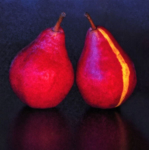 USA, Oregon, Coos Bay. Pair of Starkrimson pears. Credit as