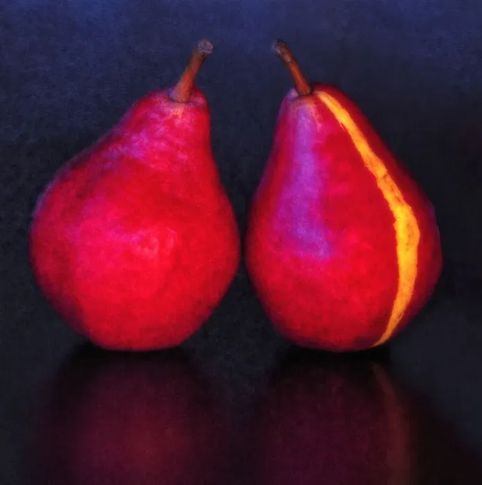 Framed Print : USA, Oregon, Coos Bay. Pair of Starkrimson pears. Credit as Framed Print : USA, Oregon, Coos Bay. Pair of Starkrimson pears. Credit as