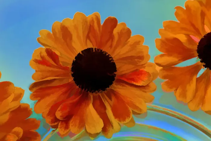 Framed Print : USA, Oregon, Coos Bay. Zinnia flower abstract