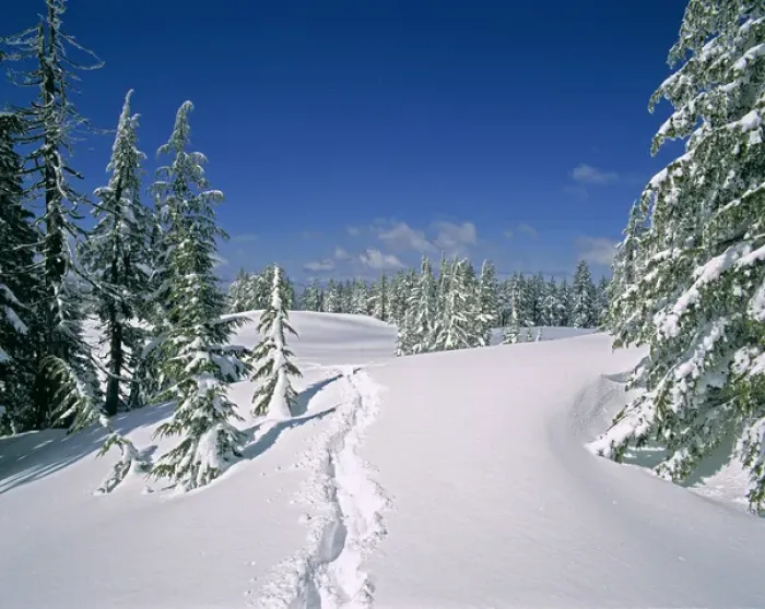 Framed Print : USA, Oregon, Crater Lake NP. Deep snow makes travel difficult on a path among these