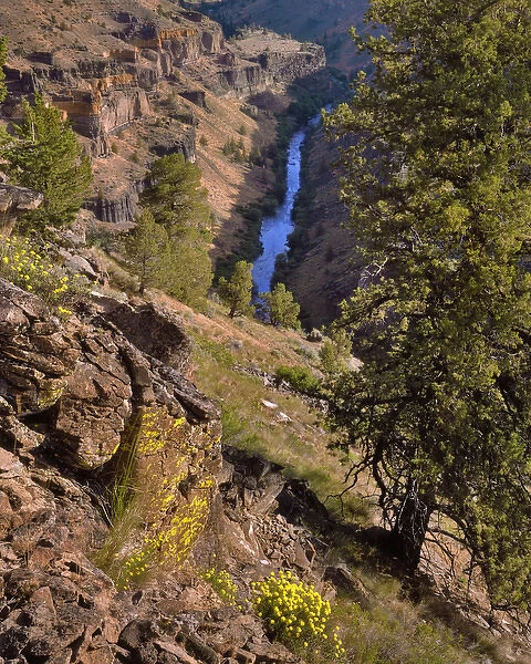 USA, Oregon, Deschutes Canyon. Canyon landscape