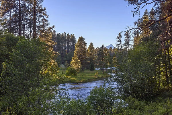 USA, Oregon, Deschutes National Forest, Headwaters of the Metolius River and distant