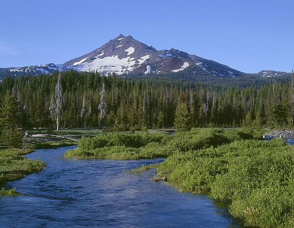 USA, Oregon, Deschutes National Forest, South side of Broken Top rises above coniferous forest