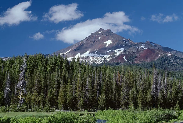 USA, Oregon, Deschutes National Forest. South side of Broken Top rises above coniferous forest