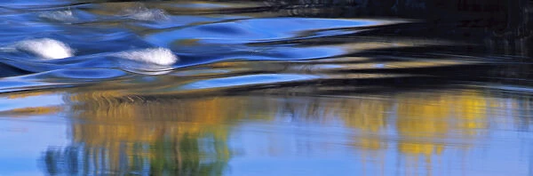 USA, Oregon, Deschutes River. Golden aspen trees reflect in the Deschutes River near Bend