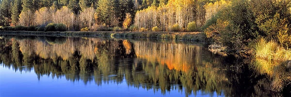 USA, Oregon, Deschutes River. Still water on the Deschutes River, near Bend in central Oregon