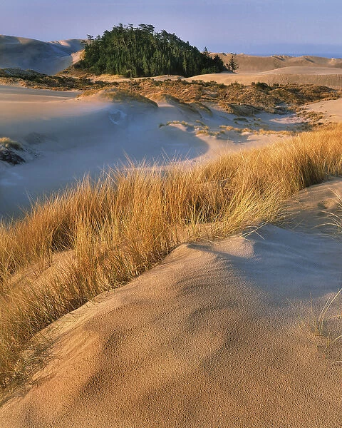 USA, Oregon, Dunes National Recreation Area