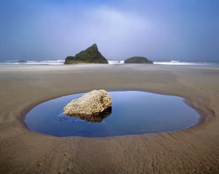 Framed Print : USA, Oregon, Face Rock Wayside. Fog hovers over Face Rock Wayside, Bandon, Oregon Framed Print : USA, Oregon, Face Rock Wayside. Fog hovers over Face Rock Wayside, Bandon, Oregon