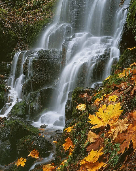 USA, Oregon, Fairy Falls, Columbia River Gorge National Scenic Area