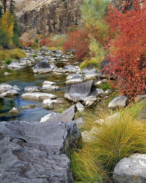 USA, Oregon. Fall colors along John Day River
