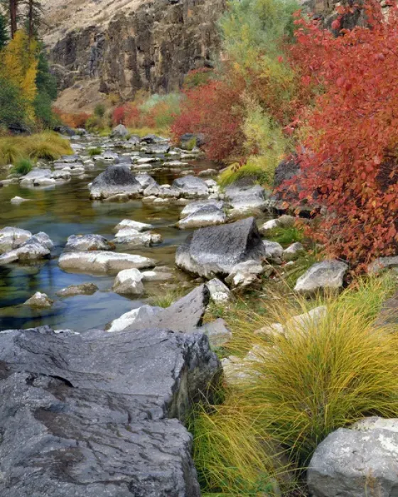 Framed Print : USA, Oregon. Fall colors along John Day River