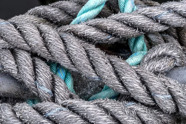 USA, Oregon, Florence. Close-up of boat mooring lines