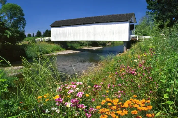 Framed Print : USA, Oregon. Gallon House covered bridge over Abiqua Creek