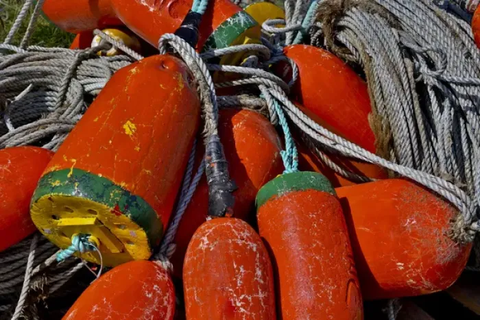 Framed Print : USA, Oregon, Garibaldi. Colorful crab pot buoys