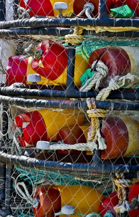 Framed Print : USA, Oregon, Garibaldi. Stacked crab pots on dock Framed Print : USA, Oregon, Garibaldi. Stacked crab pots on dock