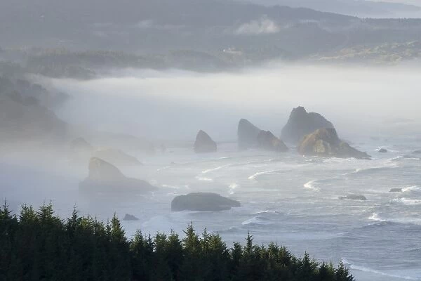 USA, Oregon, Gold Beach. Foggy morning on seashore