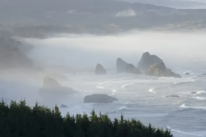 Framed Print : USA, Oregon, Gold Beach. Foggy morning on seashore Framed Print : USA, Oregon, Gold Beach. Foggy morning on seashore