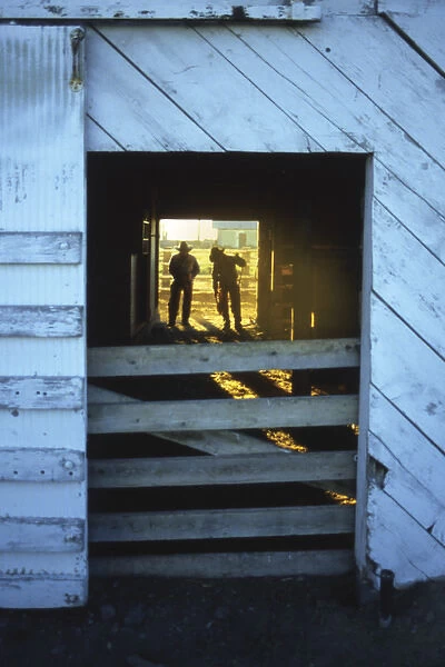 USA, Oregon, Harney County, Cowboys getting ready for work in doorway and backlit