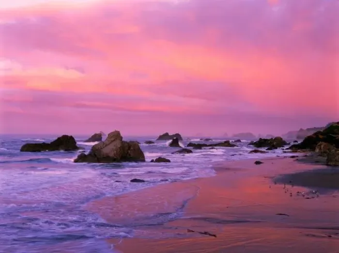Framed Print : USA, Oregon, Harris State Beach, Brookings. Sea stacks at dawn Framed Print : USA, Oregon, Harris State Beach, Brookings. Sea stacks at dawn