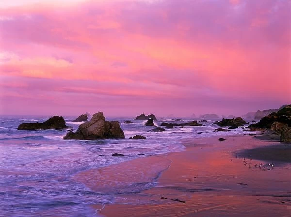 USA, Oregon, Harris State Beach, Brookings. Sea stacks at dawn