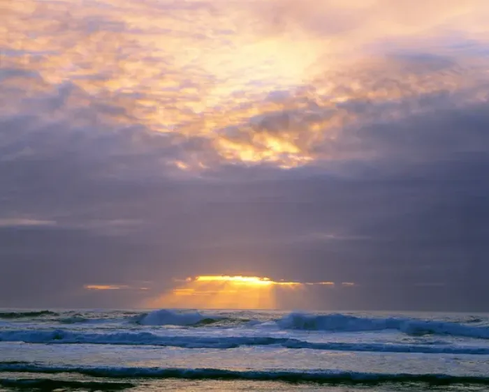 Framed Print : USA, Oregon, Heceta Head. The golden setting sun pours through the clouds at Heceta Head Framed Print : USA, Oregon, Heceta Head. The golden setting sun pours through the clouds at Heceta Head