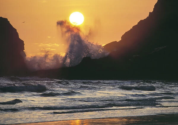 USA, Oregon, Heceta Head. A wave breaks under the sun at Heceta Head on the Oregon coast