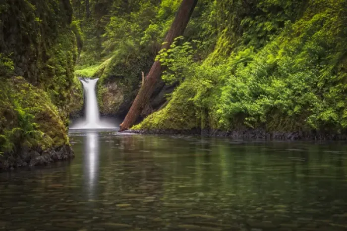 Framed Print : USA, Oregon, Hood River County. Punch Bowl Falls along Eagle Creek in the Columbia Framed Print : USA, Oregon, Hood River County. Punch Bowl Falls along Eagle Creek in the Columbia