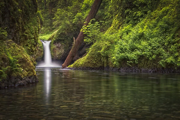 USA, Oregon, Hood River County. Punch Bowl Falls along Eagle Creek in the Columbia