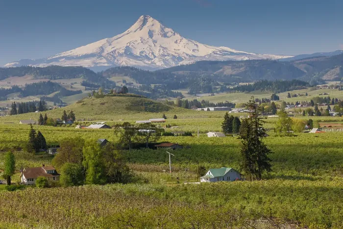 Framed Print : USA, Oregon, Hood River, Orchards in springtime bloom with backdrop of Mt. Hood