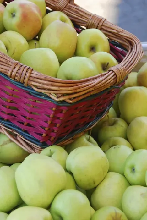 Framed Print : USA, Oregon, Hood River Valley. Basket of green apples at a fruit stand. Credit as Framed Print : USA, Oregon, Hood River Valley. Basket of green apples at a fruit stand. Credit as