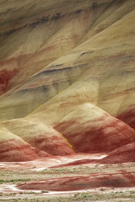 Framed Print : USA, Oregon, John Day Fossil Beds National Monument. Multicolored strata in the Painted Hills unit with golden bee plant, and chaenactis