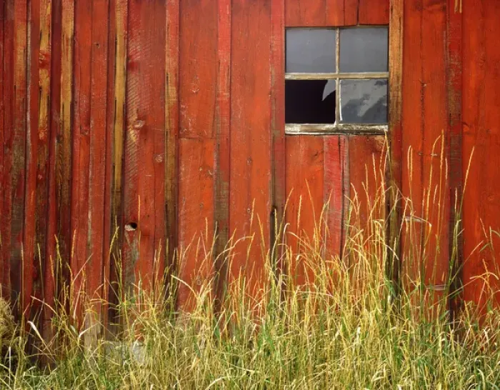 Framed Print : USA, Oregon, Joseph, Grasses contrast with broken window on side of rustic red barn in autumn