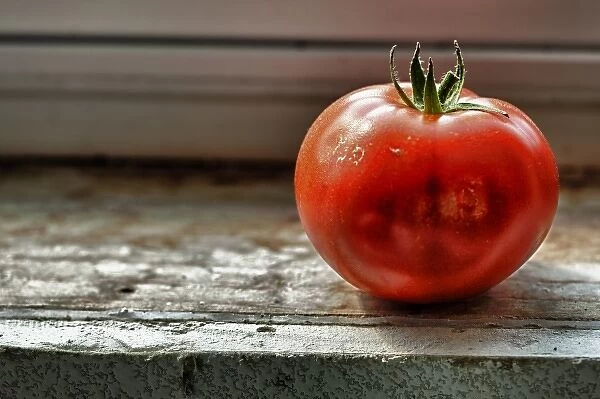 USA, Oregon, Keizer, Tomato on window sill, Digital Composite HDR