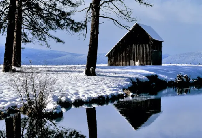 Framed Print : USA, Oregon, Klamath Co. A white horse waits by an old barn in winter in Klamath County