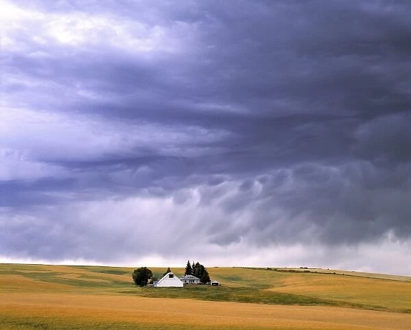 USA, Oregon, LaGrande. Rippling storm clouds gather over a small farm, in La Grande