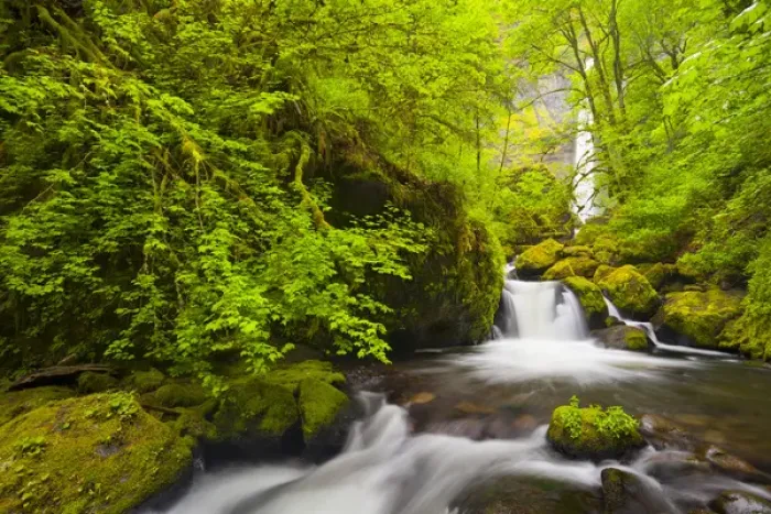 Framed Print : USA, Oregon. Lovely Elowah Falls on McCord Creek in the spring, in the Columbia Gorge, Oregon