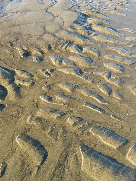 USA, Oregon, Manzanita. Beach sand patterns