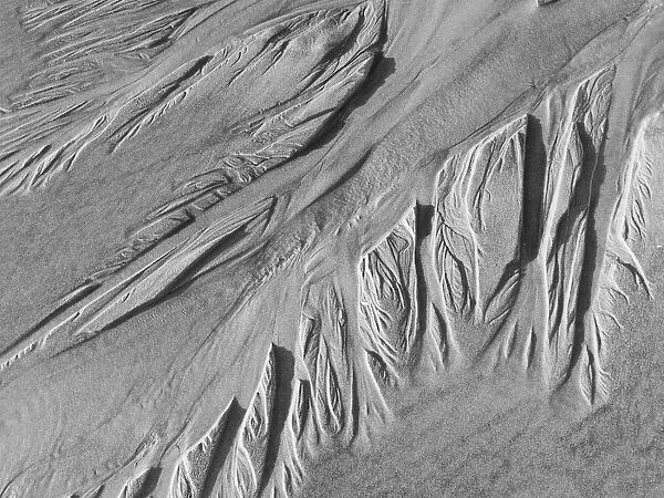 USA, Oregon, Manzanita. Black and white of beach sand patterns