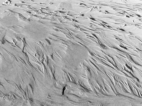 USA, Oregon, Manzanita. Black and white of beach sand patterns