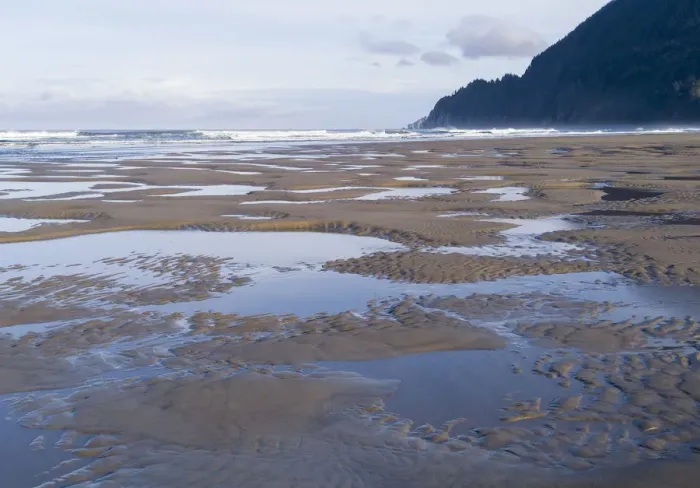 Framed Print : USA, Oregon, Manzanita. Reflections in beach tide pools Framed Print : USA, Oregon, Manzanita. Reflections in beach tide pools