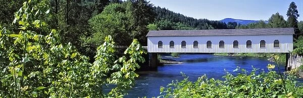 USA, Oregon, McKenzie River. Goodpasture Bridge, on the McKenzie River, is one of